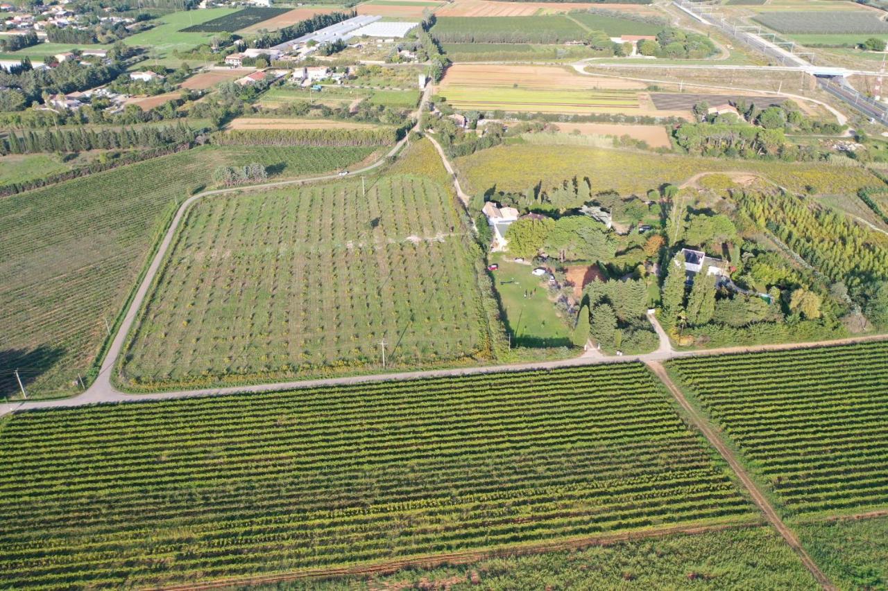 Domaine De La Trinite Montpellier - Aeroport - Plages - Arena - Zenith Saint-Aunes Ngoại thất bức ảnh