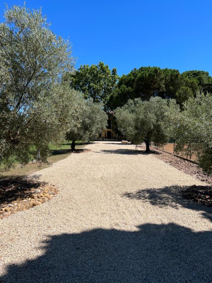Domaine De La Trinite Montpellier - Aeroport - Plages - Arena - Zenith Saint-Aunes Ngoại thất bức ảnh